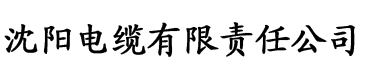 和竹马睡了以后电缆厂logo